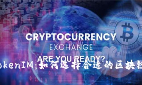 深入探讨TokenIM：如何选择合适的区块链存储令牌?