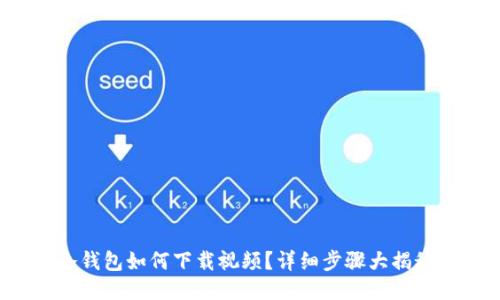 冷钱包如何下载视频？详细步骤大揭秘！