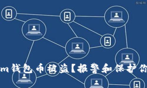 如何应对Tokenim钱包币被盗？报警和保护你的数字资产指南