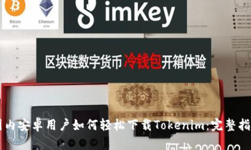 国内安卓用户如何轻松下载Tokenim：完整指南