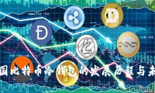 探索中国比特币冷钱包的发展历程与未来趋势