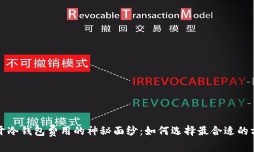 揭开冷钱包费用的神秘面纱：如何选择最合适的方案