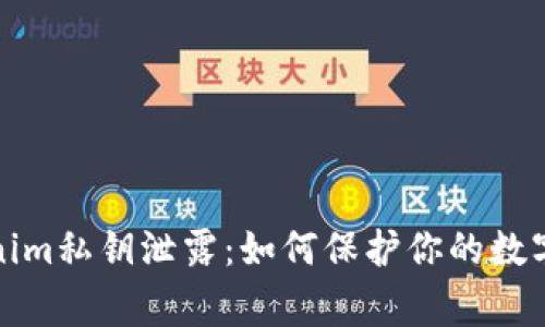 警惕Tokenim私钥泄露：如何保护你的数字资产安全