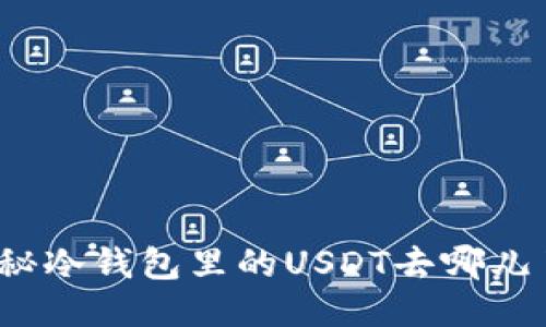 揭秘冷钱包里的USDT去哪儿了？