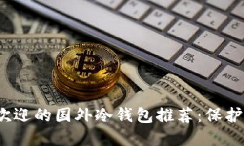 2023年最受欢迎的国外冷钱包推荐:保护你的数字资产