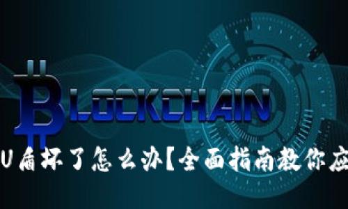 冷钱包U盾坏了怎么办?全面指南教你应对故障