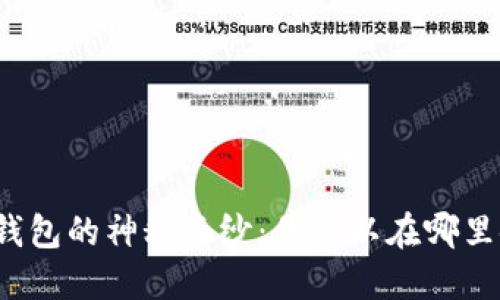 揭开数字钱包的神秘面纱：你可以在哪里使用它们？