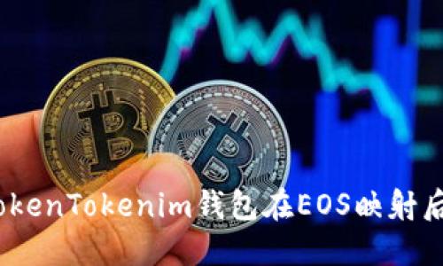 轻松理解：TokenTokenim钱包在EOS映射后的实用指南