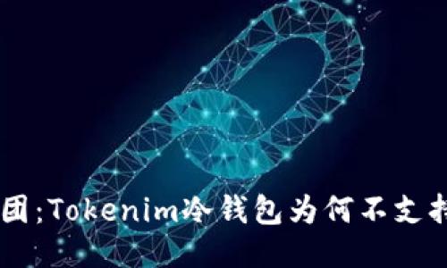 揭开谜团:Tokenim冷钱包为何不支持USDT?