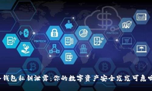 冷钱包私钥泄露:你的数字资产安全岌岌可危吗?