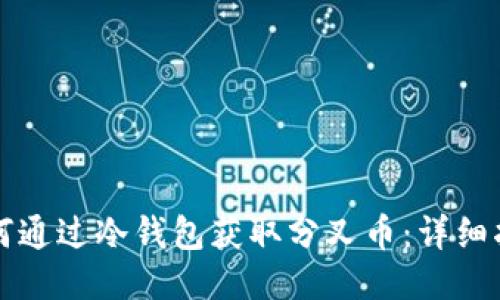 如何通过冷钱包获取分叉币:详细指南