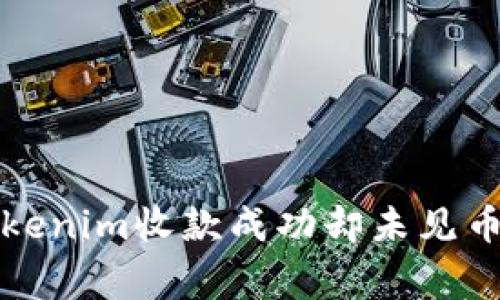 如何解决Tokenim收款成功却未见币的常见问题