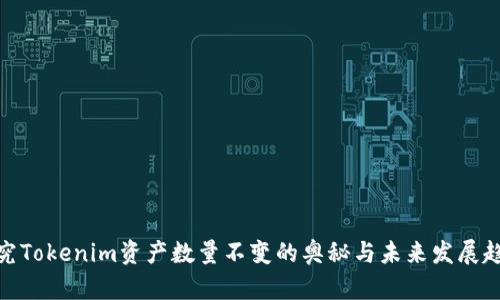 探究Tokenim资产数量不变的奥秘与未来发展趋势