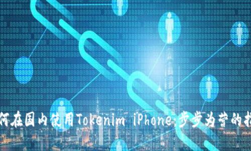 如何在国内使用Tokenim iPhone：步步为营的指南