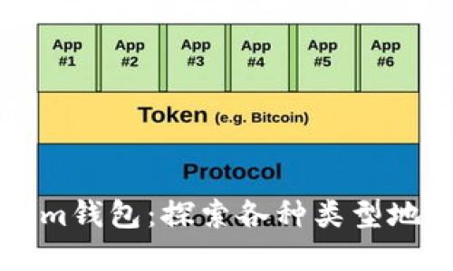 彻底解读Tokenim钱包:探索各种类型地址的功能与使用