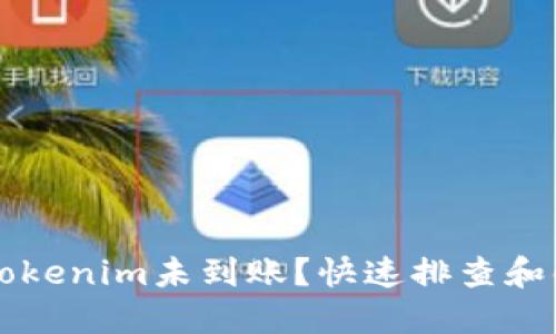 转币到Tokenim未到账？快速排查和解决指南