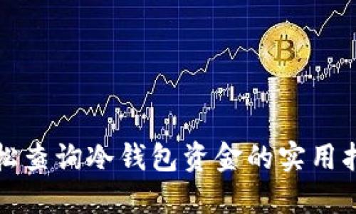 轻松查询冷钱包资金的实用指南