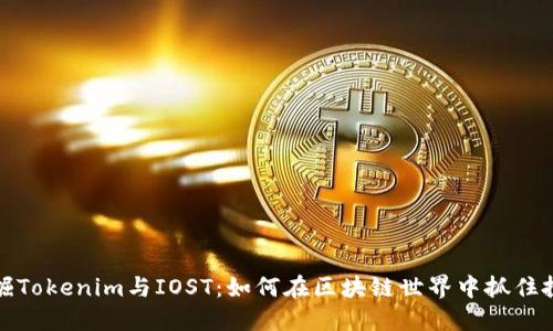 深入挖掘Tokenim与IOST：如何在区块链世界中抓住投资机会