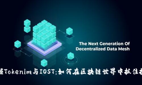深入挖掘Tokenim与IOST：如何在区块链世界中抓住投资机会