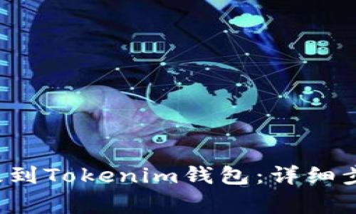 如何将FIL币提到Tokenim钱包：详细步骤与注意事项