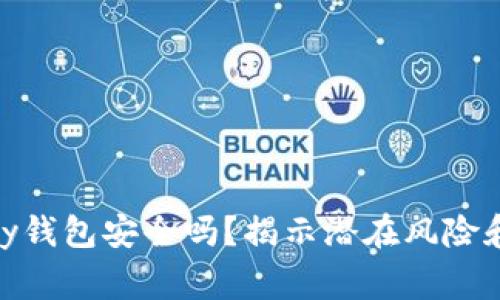 下载OKPay钱包安全吗?揭示潜在风险和注意事项