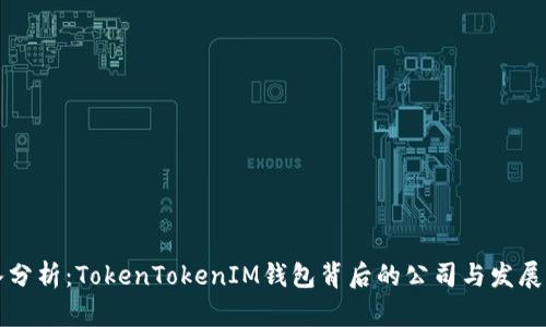 深入分析：TokenTokenIM钱包背后的公司与发展历程