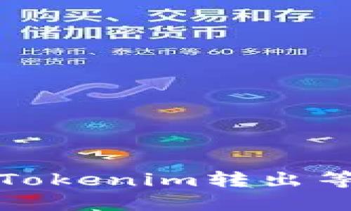 如何快速解决Tokenim转出等待确认的问题