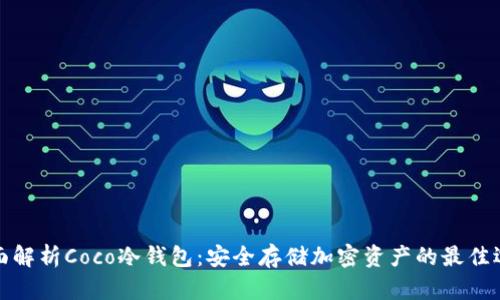 全面解析Coco冷钱包：安全存储加密资产的最佳选择