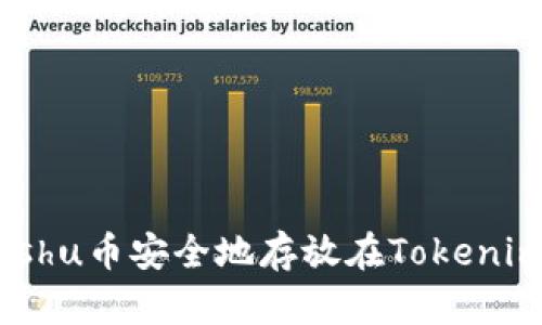 如何将Kishu币安全地存放在Tokenim钱包中？