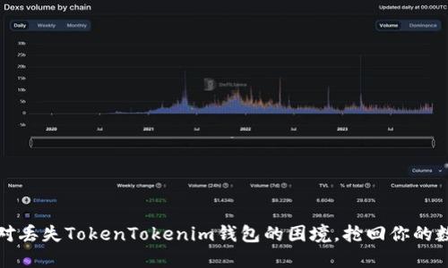 如何应对丢失TokenTokenim钱包的困境，抢回你的数字资产