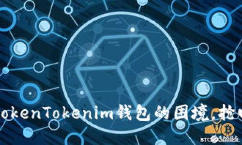 如何应对丢失TokenTokenim钱包的困境，抢回你的数字资产