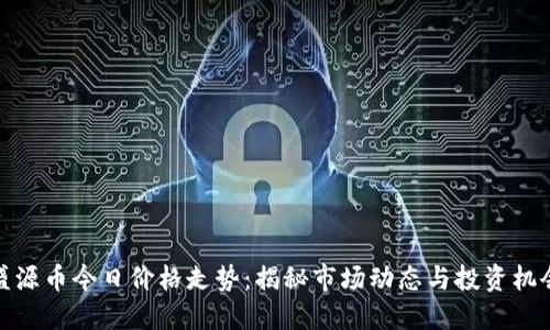 盛源币今日价格走势：揭秘市场动态与投资机会