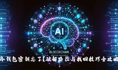 冷钱包密钥忘了?破解路径与找回技巧全攻略