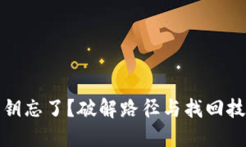 冷钱包密钥忘了?破解路径与找回技巧全攻略