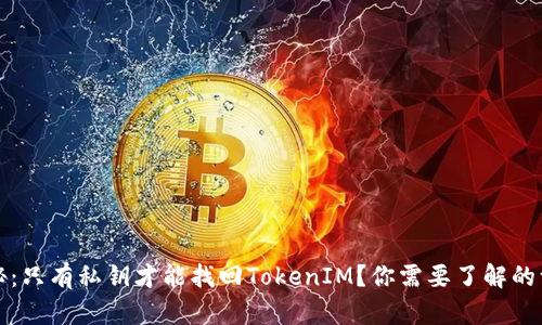 揭秘:只有私钥才能找回TokenIM?你需要了解的一切