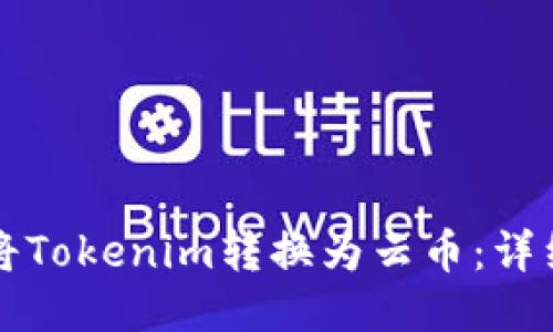 如何将Tokenim转换为云币：详细指南