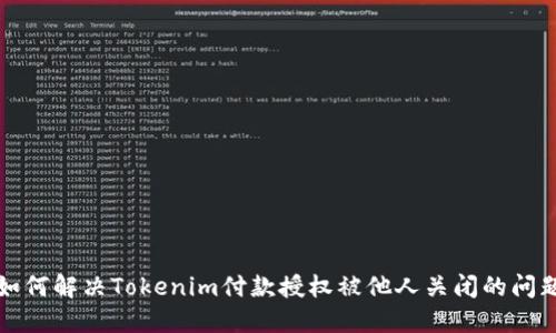 如何解决Tokenim付款授权被他人关闭的问题