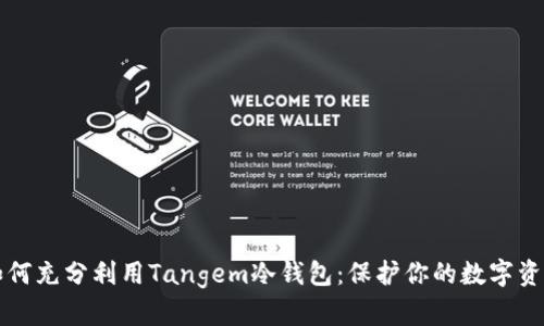如何充分利用Tangem冷钱包：保护你的数字资产
