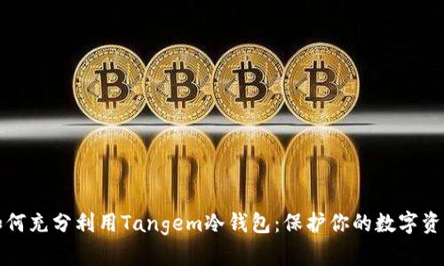 如何充分利用Tangem冷钱包：保护你的数字资产