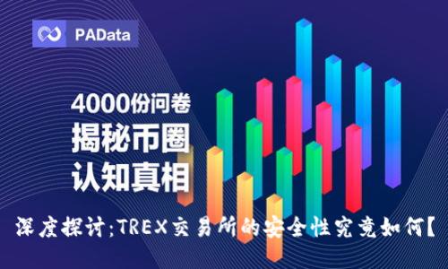 深度探讨:TREX交易所的安全性究竟如何?