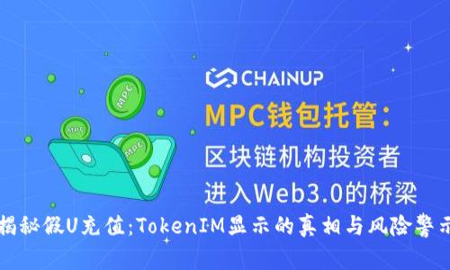 揭秘假U充值：TokenIM显示的真相与风险警示