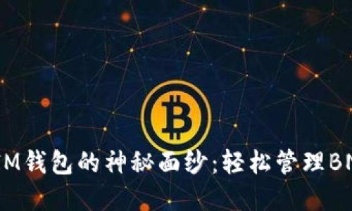 揭开TokenTokenIM钱包的神秘面纱：轻松管理BNB资产的终极指南