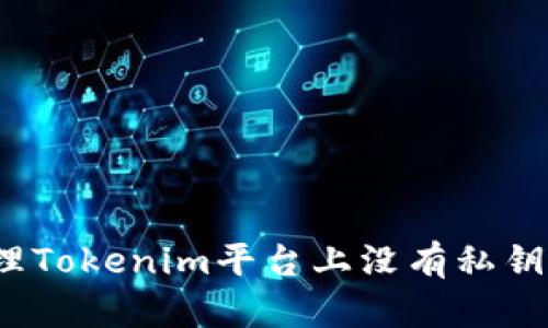 如何处理Tokenim平台上没有私钥的币种？