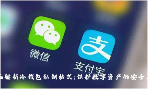 全面解析冷钱包私钥格式：保护数字资产的安全卫士