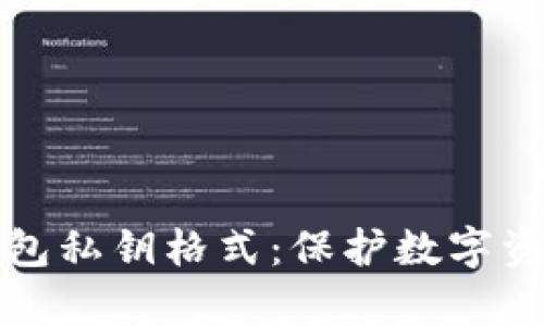 全面解析冷钱包私钥格式：保护数字资产的安全卫士