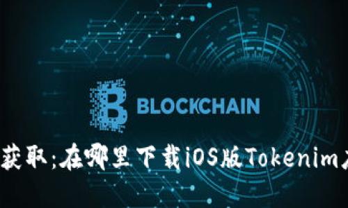 轻松获取：在哪里下载iOS版Tokenim应用？