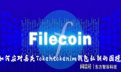 如何应对丢失Tokentokenim钱包私钥的困境?