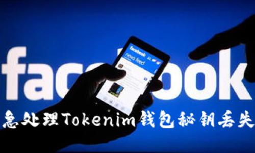 如何紧急处理Tokenim钱包秘钥丢失的问题