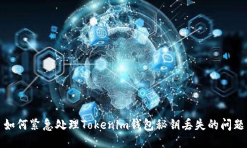 如何紧急处理Tokenim钱包秘钥丢失的问题