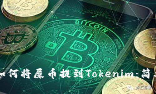 一步步教你如何将屎币提到Tokenim：简单易懂的指南